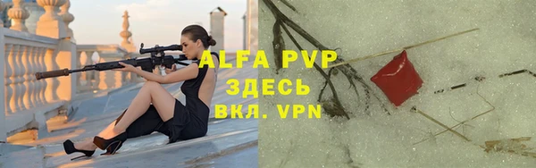 мет Алексин