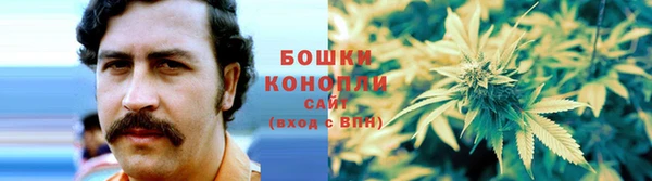 2c-b Алзамай