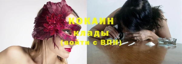 2c-b Алзамай