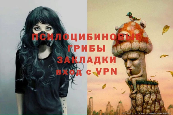 2c-b Алзамай