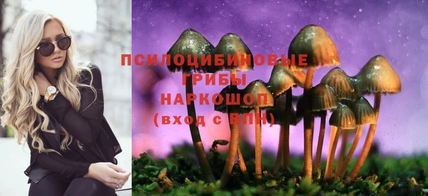 2c-b Алзамай