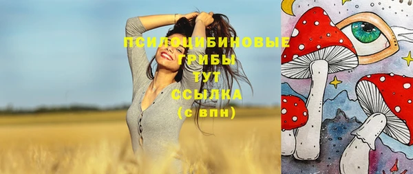 2c-b Алзамай