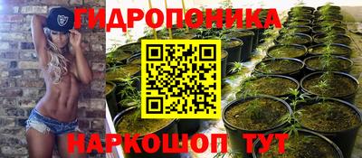 кокс Краснодар