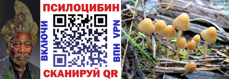 Псилоцибиновые грибы ЛСД Дедовск