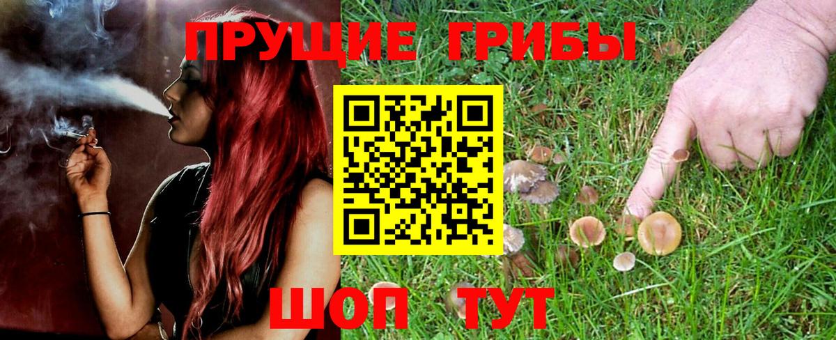 Дедовск  Псилоцибиновые грибы мухоморы  купить наркотик  Галлюциногенные грибы мицелий  Вход с VPN 